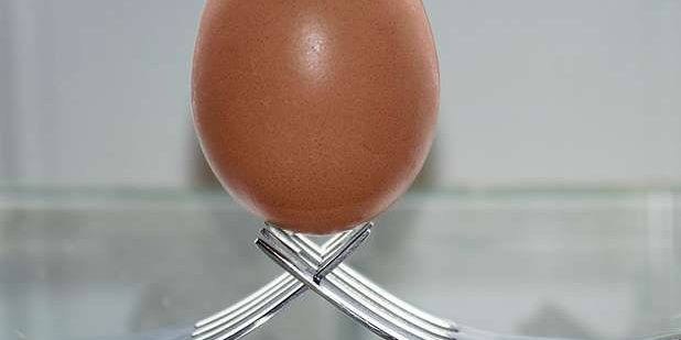 egg-balance-fork