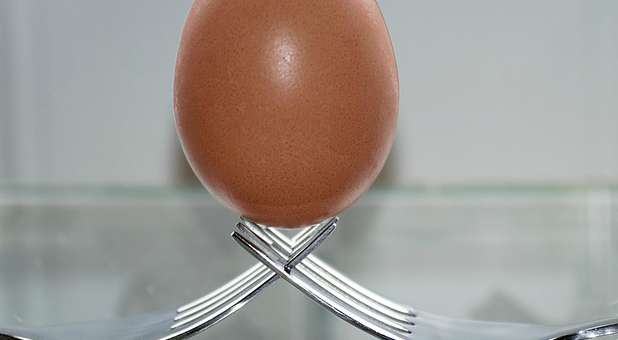 egg-balance-fork