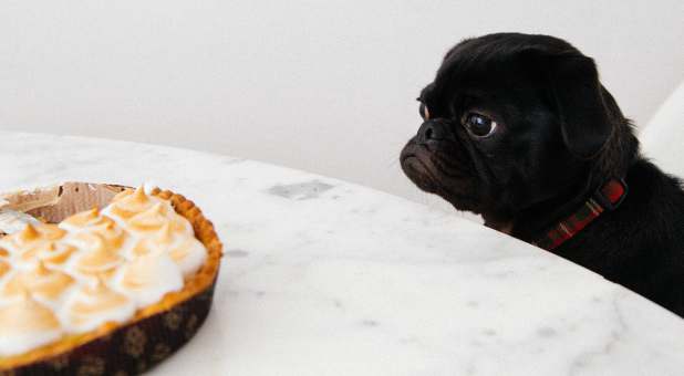 temptation
