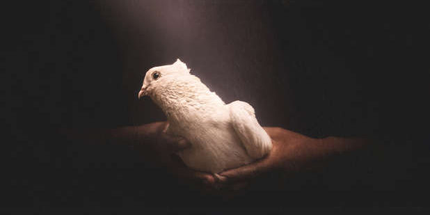 French-holy-spirit-4.55.43-PM